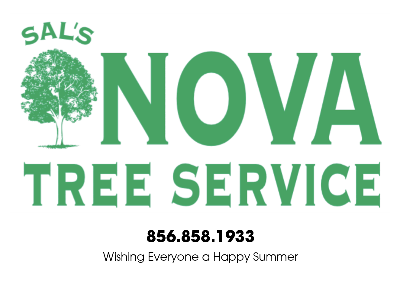 nova-tree-service